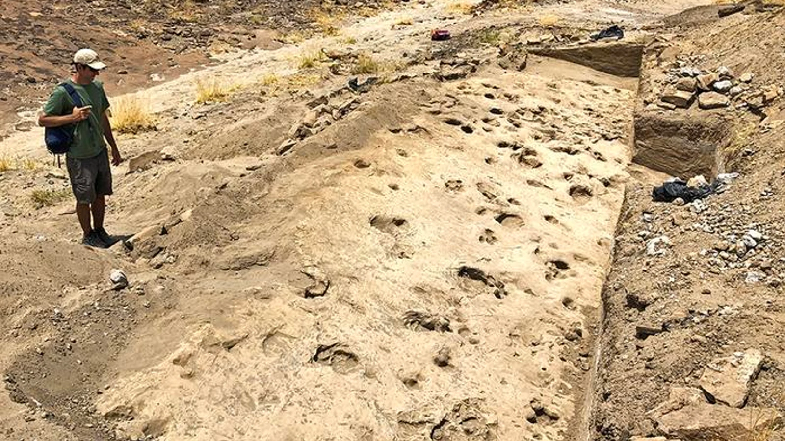 An excavated sediment surface in northern Kenya shows shallow hominin footprints among deeper animal tracks.