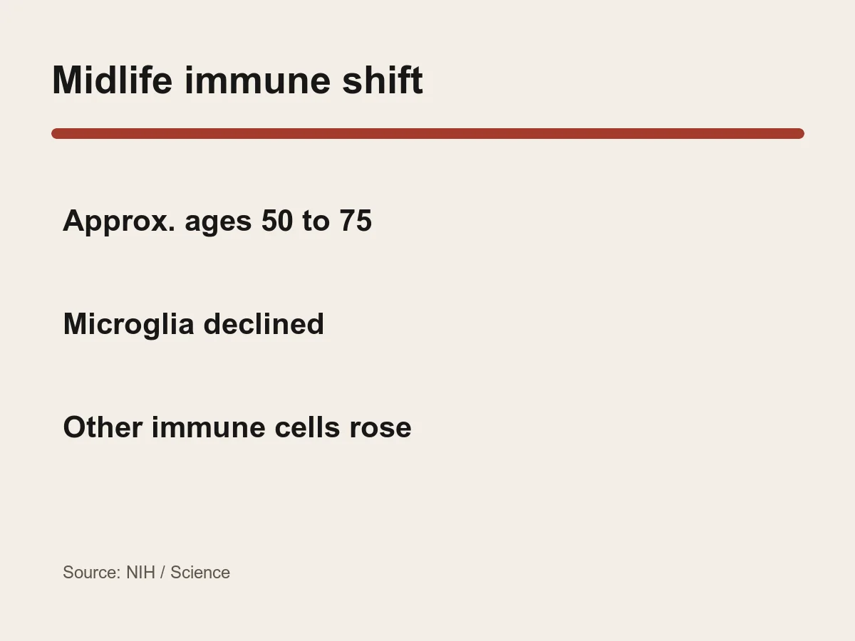 Graphic highlights ages 50 to 75 and a decline in microglia alongside an increase in other immune cells.