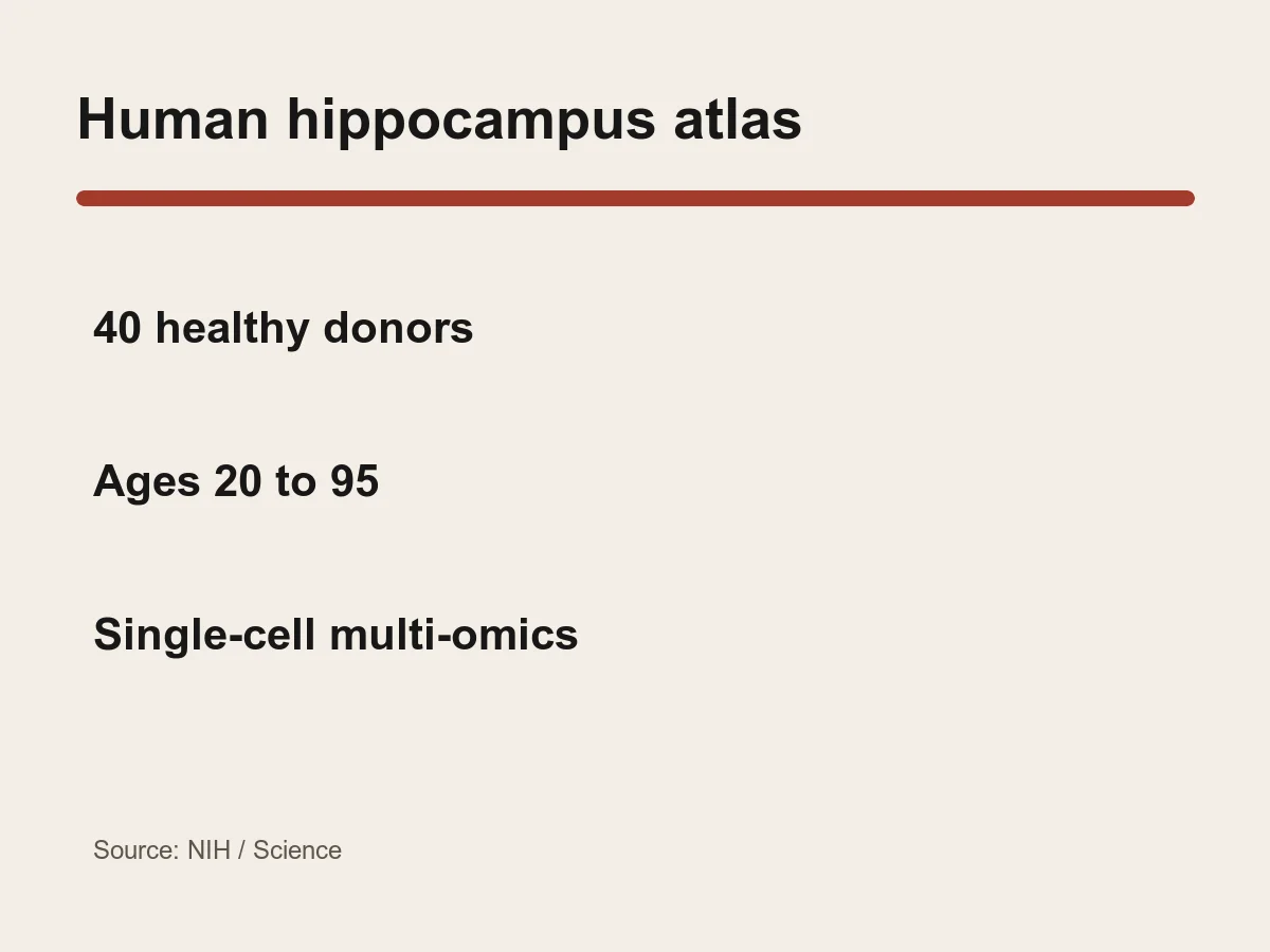 Graphic lists 40 hippocampus samples and an age range from 20 to 95 years.