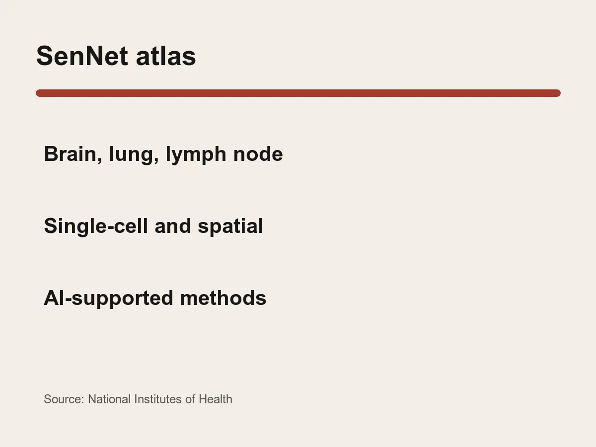 Graphic lists brain, lung and lymph-node tissues alongside single-cell, spatial and AI methods.