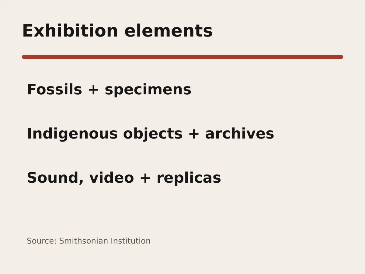 Graphic lists fossils, Indigenous objects, archives, sound and hands-on replicas.