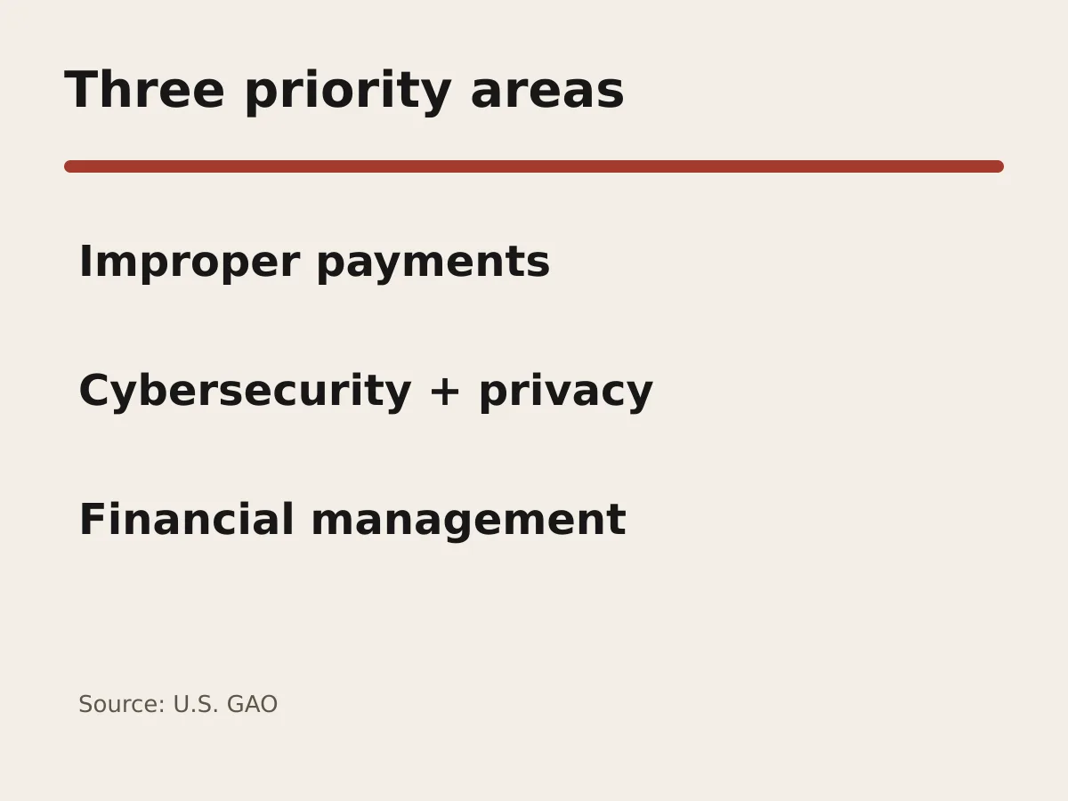 Graphic lists improper payments, cybersecurity and privacy, and financial management as three priority areas.