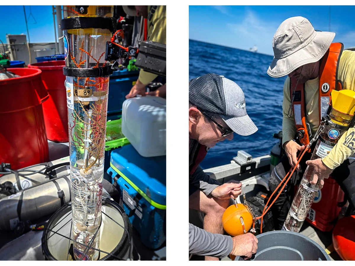 A clear cylindrical coral carrier shown beside a launch team lowering it from a small boat.
